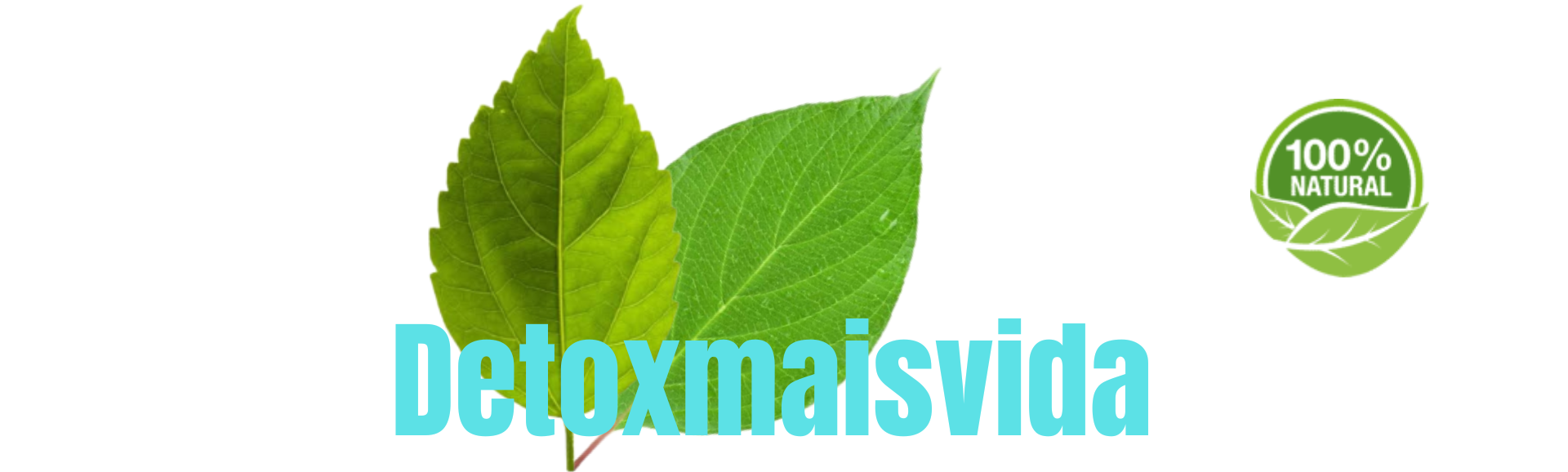 Detoxmaisvida (3)